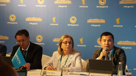 Түркі мемлекеттері Парламенттік Ассамблеясының бақылаушылары: Құрылтай сайлауы жоғары деңгейде өтіп жатыр