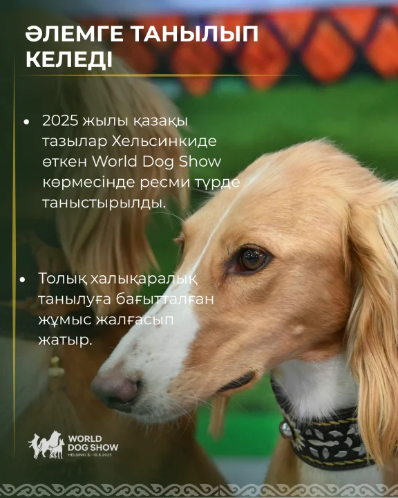 3 қыркүйек – қазақ тазысы күні