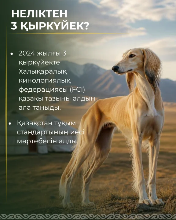3 сентября — день казахского тазы