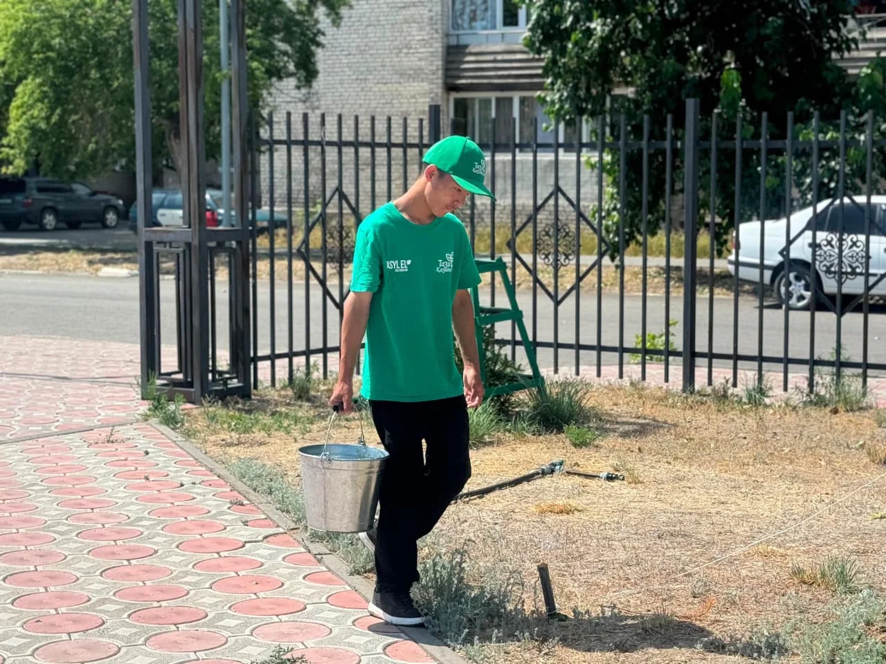 «Жасыл ел»: Абай облысында 1 004 жас жазғы еңбекке тартылды