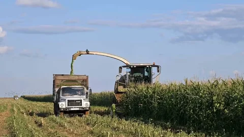 Абай облысында егін жинау қарқын алып, агросаладағы қолдау күшейді