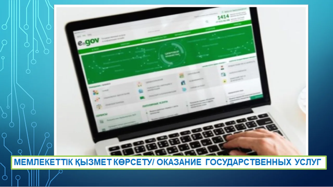Решение системных проблем при получении государственных услуг: защита прав граждан и повышение качества обслуживания