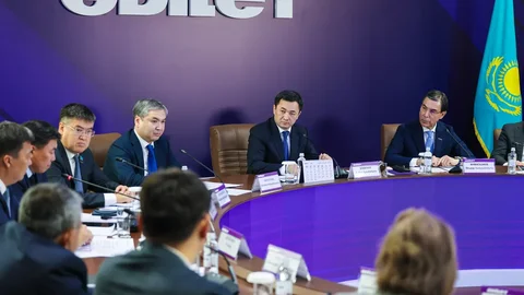 «Әділет» партиясының Іскерлік кеңесі орта бизнестің үлесін 20%-ға дейін арттыру жолдарын ұсынды