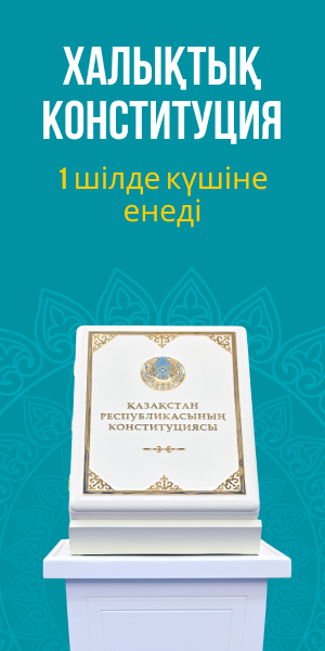 конституция 2