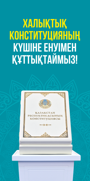 конституция
