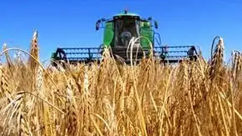 Наша страна в 2022/2023 маркетинговом году экспортирует рекордное количество зерна