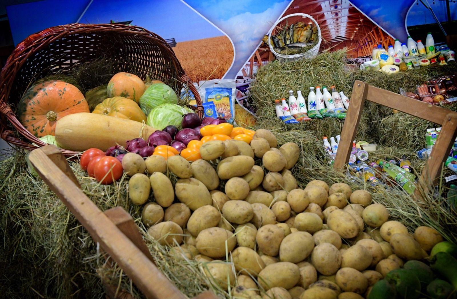 Абай облысында өнім көлемін арттыру жұмыстары жалғасып жатыр