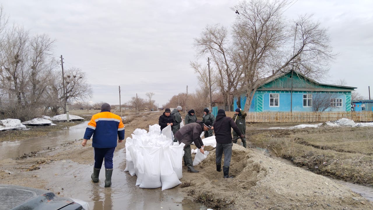 Абай облысының Бородулиха ауданындағы жағдай туралы ақпарат