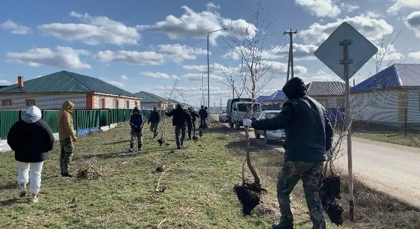 Чистота начинается с семьи – экоакция «Таза Қазақстан» проходит в Аягозском районе