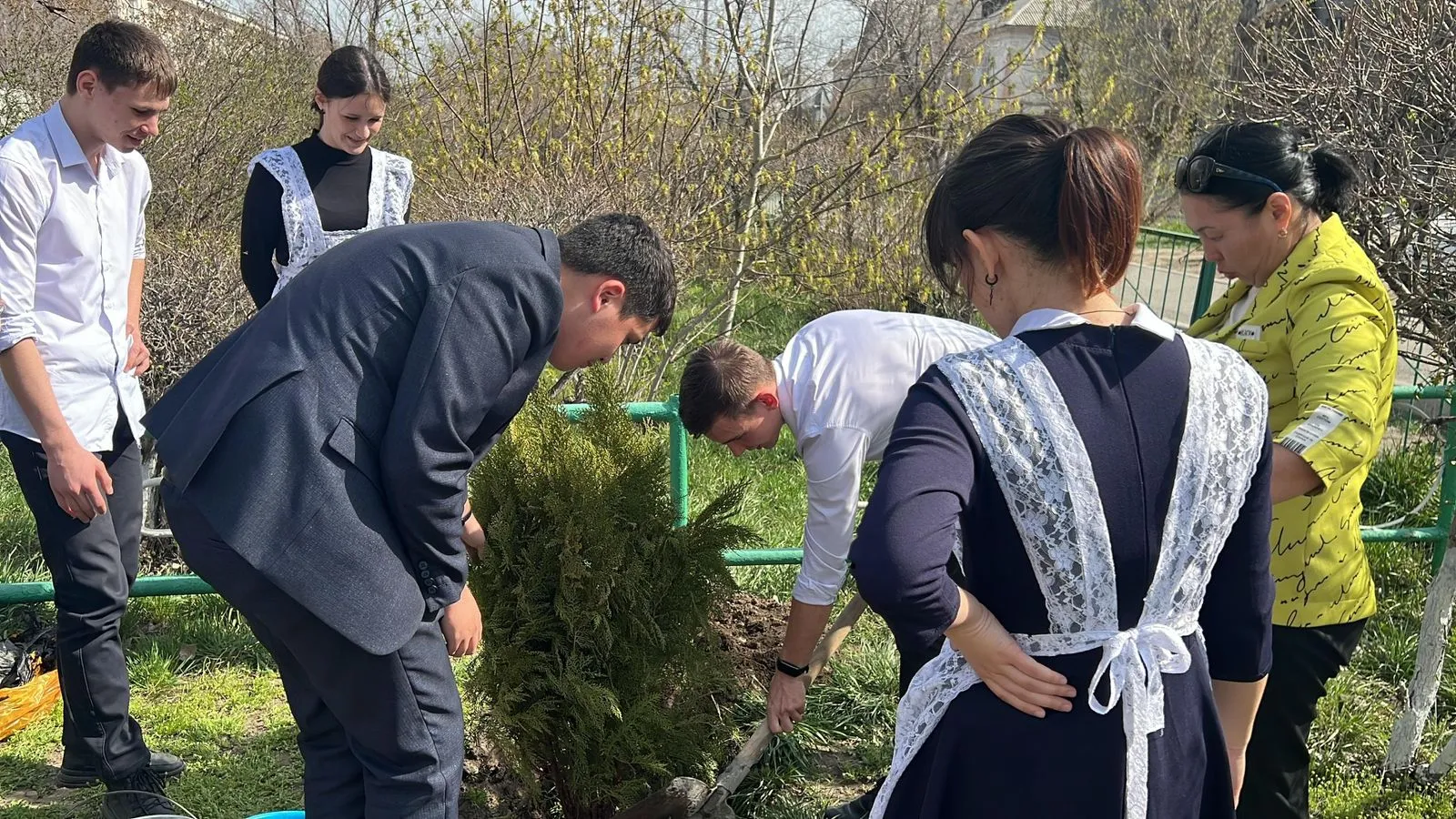 Абай облысының оқушылары 150-ге жуық ағаш отырғызды