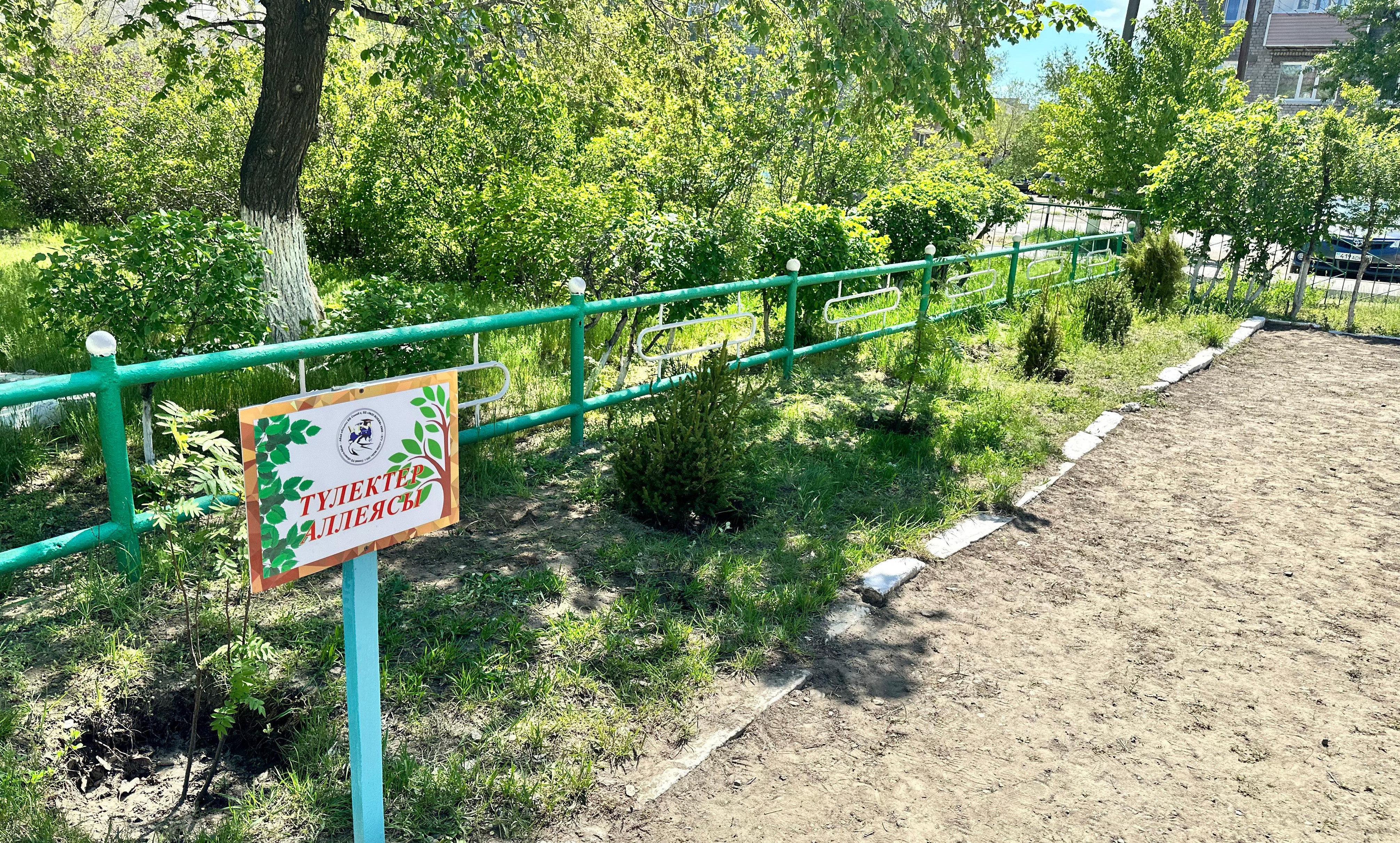 Абай облысында 5 мыңға жуық түлек республикалық челленджге қатысты