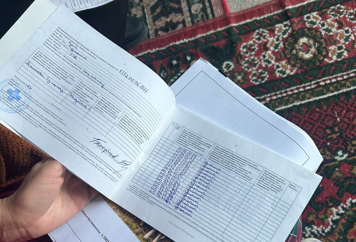 В Уржарском районе провели мониторинг тех, кто получил безвозвратные гранты