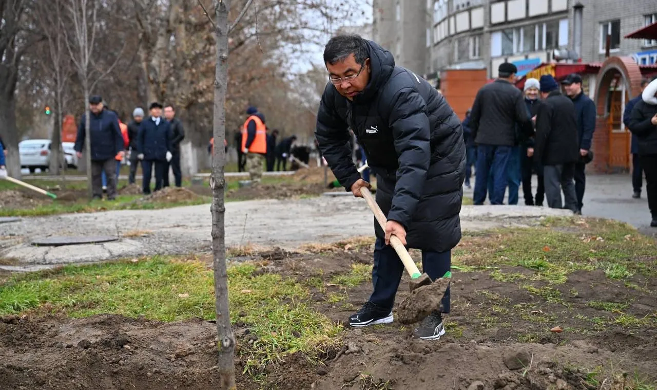 Республика күніне орай кең көлемде ағаш отырғызылды