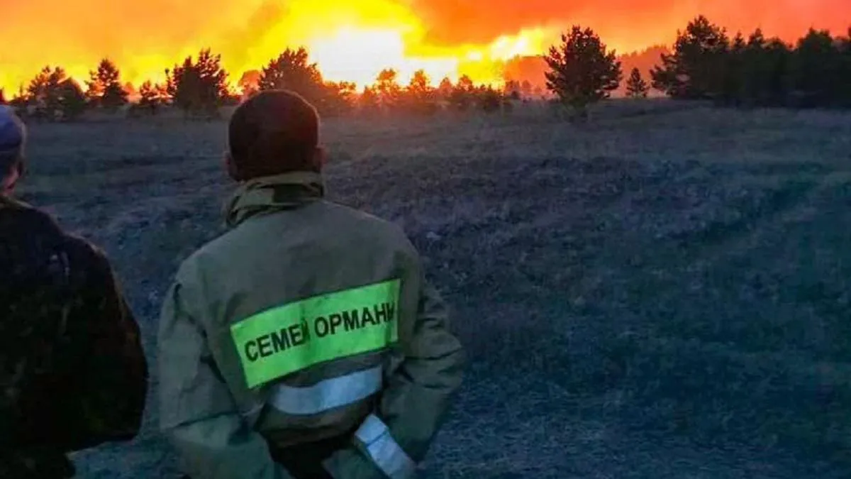 Семей орманындағы өртке қатысты қылмыстық іске соңғы нүкте қойылды 