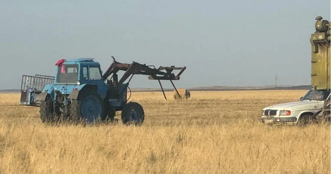 Абай облысында АӨК дамыту: өндірістің өсуі, инвестициялар және импортты алмастыру