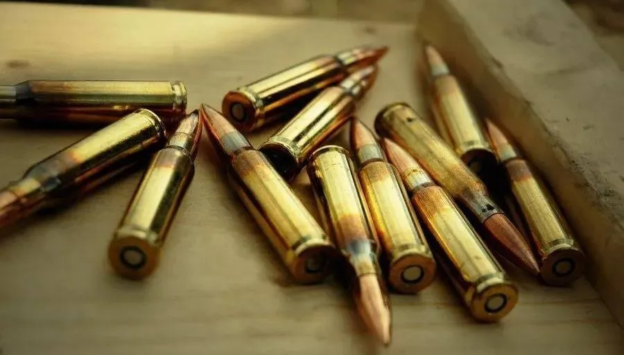 Әйел адам заңсыз оқ-дәрі сақтағаны үшін жауапкершілікке тартылды