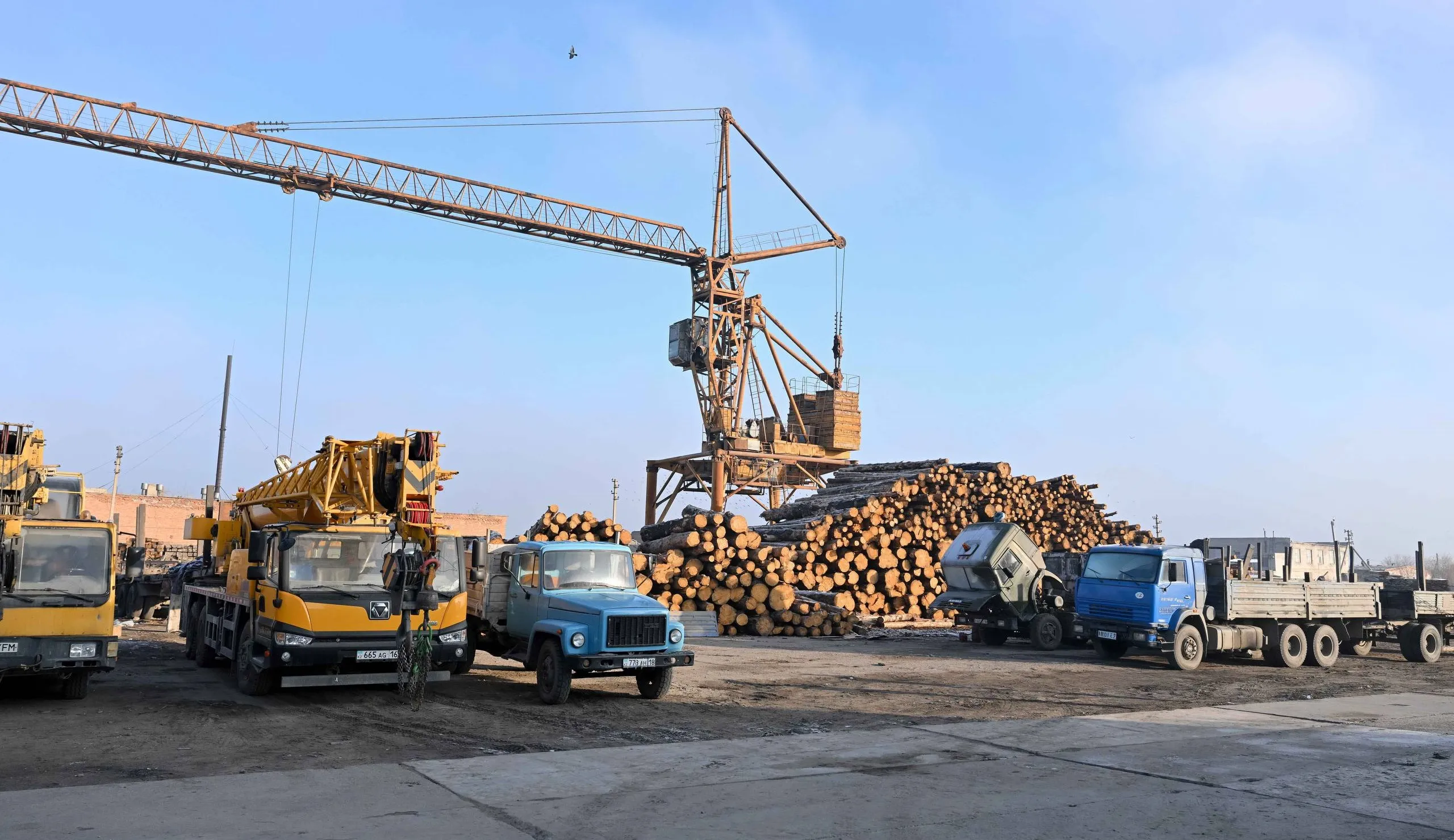 «Шығыс ШПЗ» базасында OSB плиталары мен фанера шығаратын зауыт іске қосылмақ