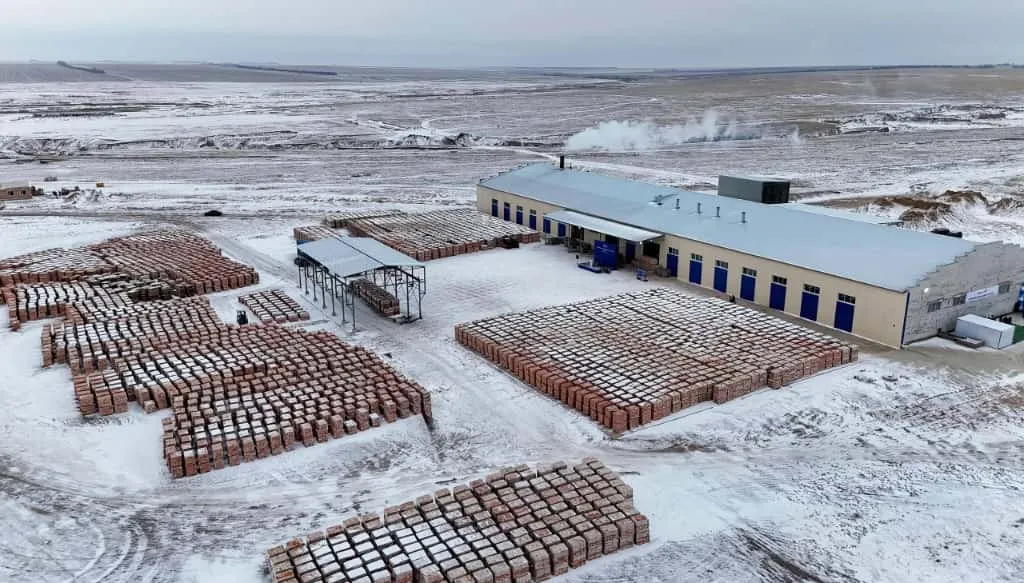 Абай облысының Бородулиха ауданында кірпіш зауыты іске қосылды