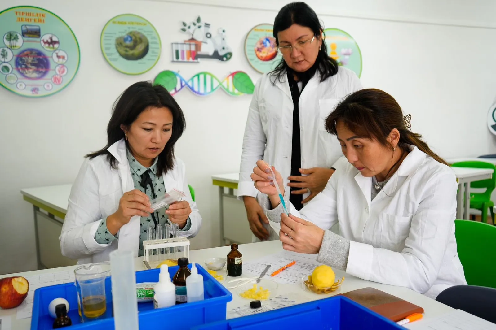 NIS ұстаздары ауыл мұғалімдеріне әдістемелік көмек көрсетті