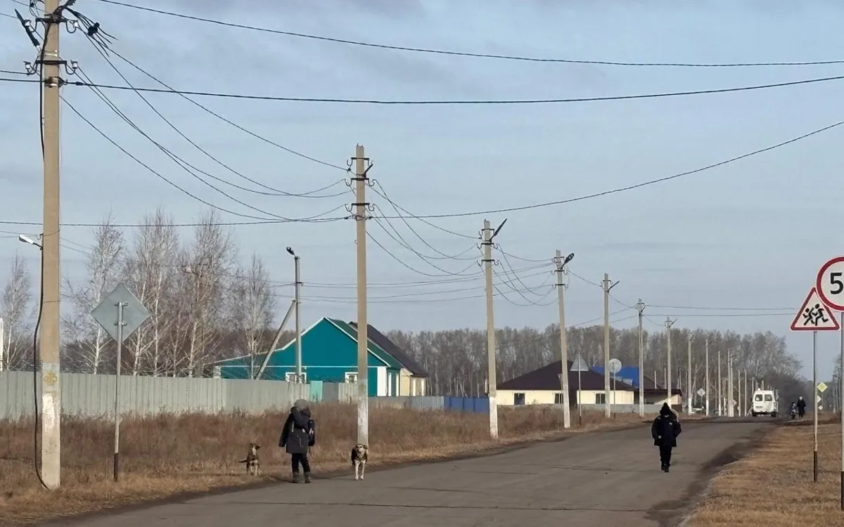 Қасым-Жомарт Тоқаев: Ауылдағы жағдайды жақсартып, жұмысты күшейтуіміз керек 