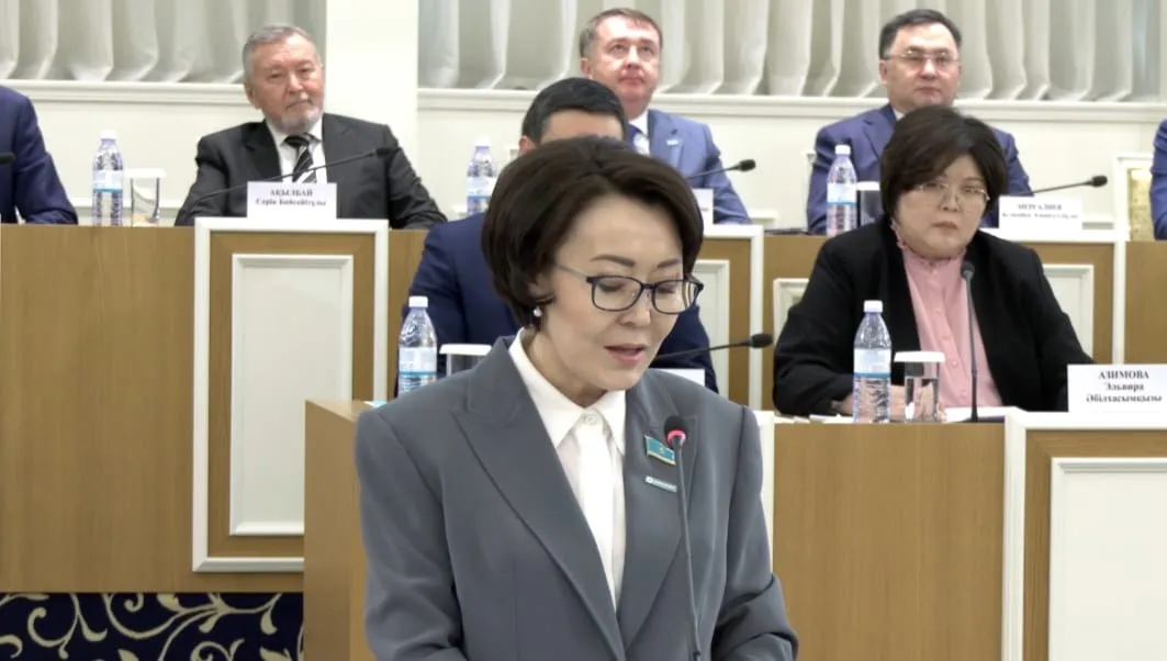 Үнзила Шапақ Конституция преамбуласын жаңғыртуды ұсынды