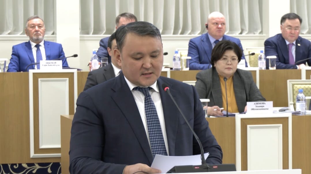 Жаңа Ата заңның жаңа мәтінінде терминдер бірізге түскен – Талғат Нәрікбаев