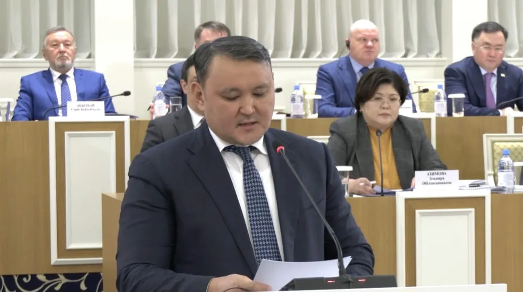 Жаңа Ата заңның жаңа мәтінінде терминдер бірізге түскен – Талғат Нәрікбаев