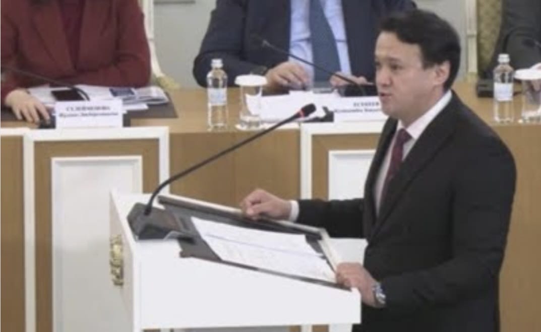 Жаңа Конституцияда еркіндік пен жауапкершілік біртұтас – белгілі журналистке біріктірілген