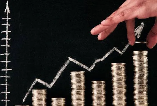 Арнайы салық режимін таңдау туралы