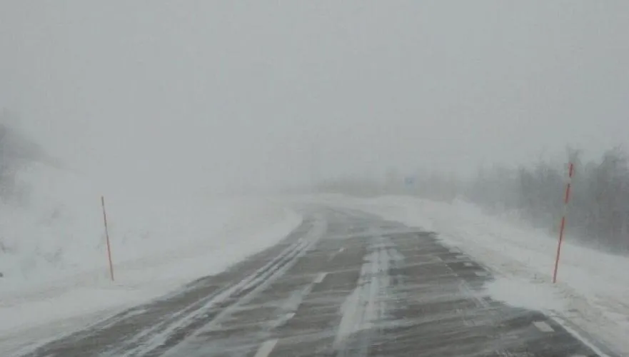 Абай облысында боран мен аяз күшейеді: кей жолдар жабылып, жүргізушілерге шұғыл ескерту жасалды