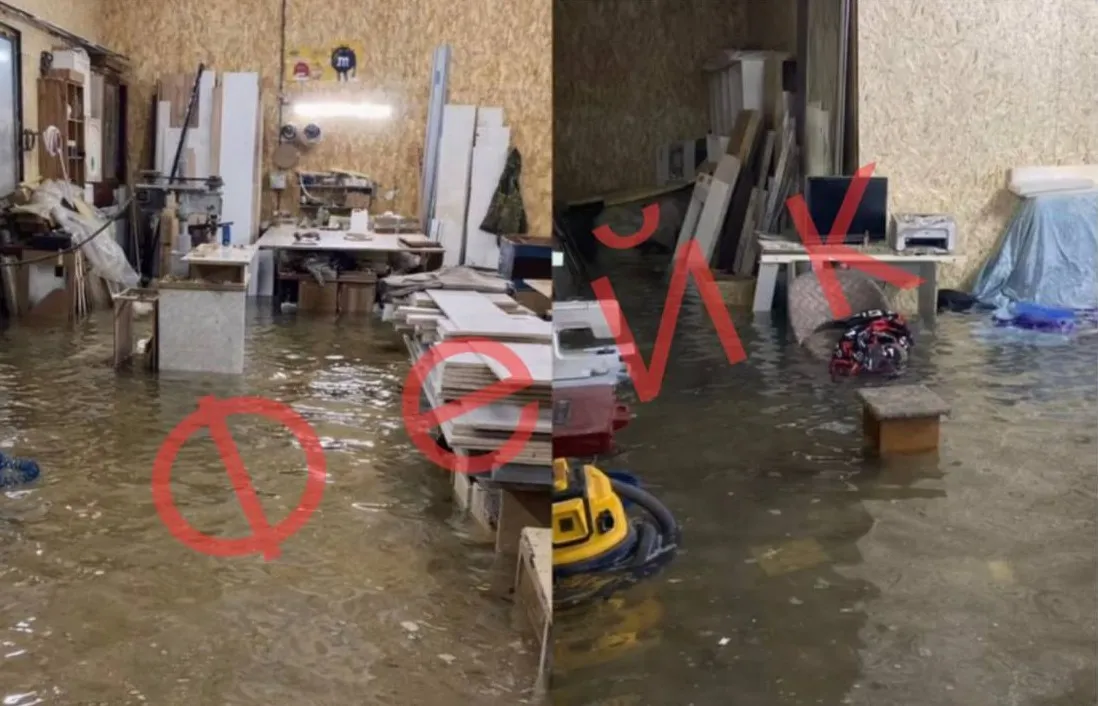 Семейдегі жағдай және жаһандық тренд: ЖИ-контентке заң күшейді