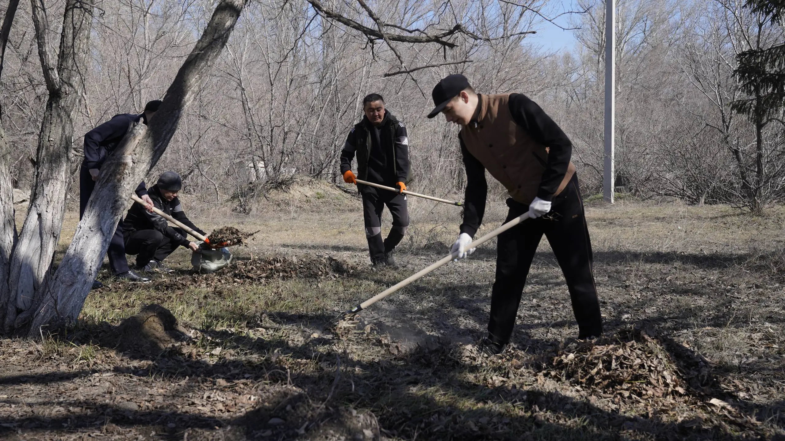 В области Абай проходит масштабная общерегиональная экологическая акция