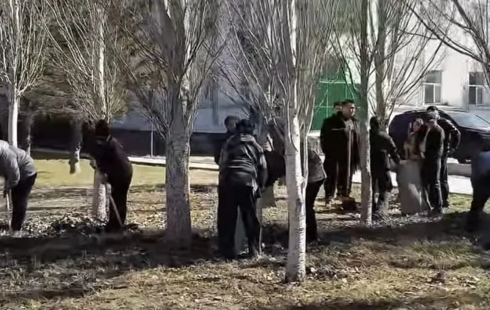 Семейде 20 мыңнан астам тұрғын сенбілікке қатысты