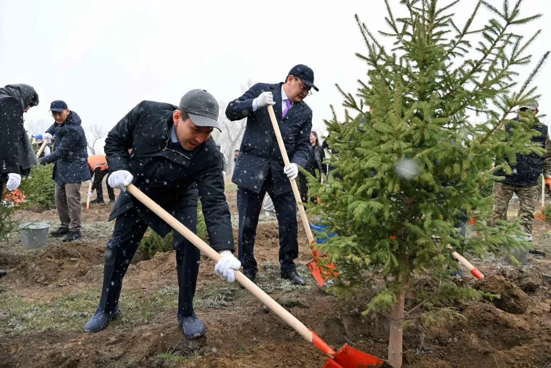 «Самұрық-Қазына» қоры өкілдері Семейде ағаш отырғызу шарасына қатысты