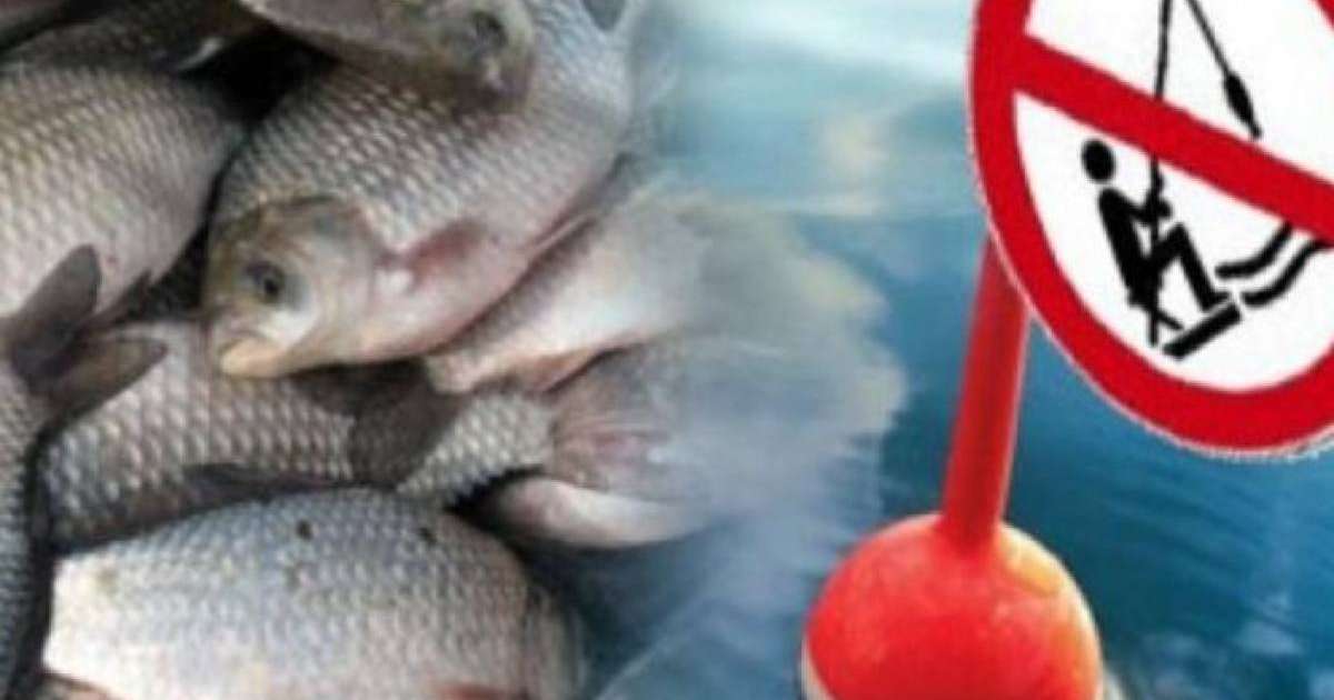В Астане открытие Дней культуры Российской Федерации в Республике Казахстан ознаменовалось масштабным гала-концертом мастеров искусств