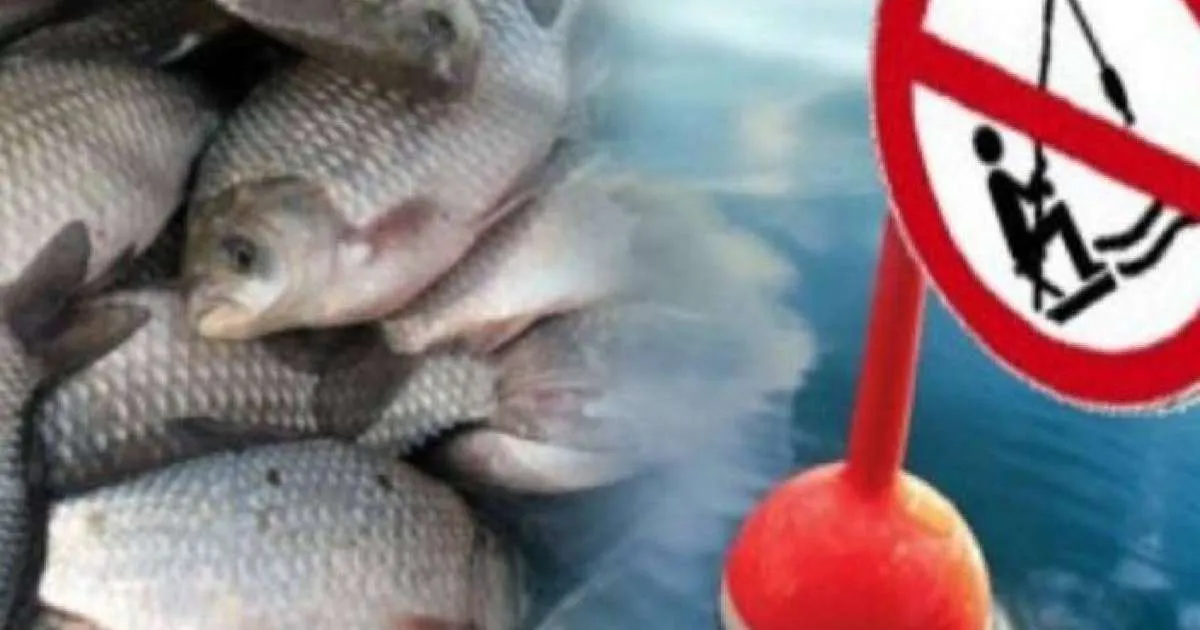 Абай облысында уылдырық шашу кезеңіне байланысты балық аулауға уақытша тыйым енгізілді