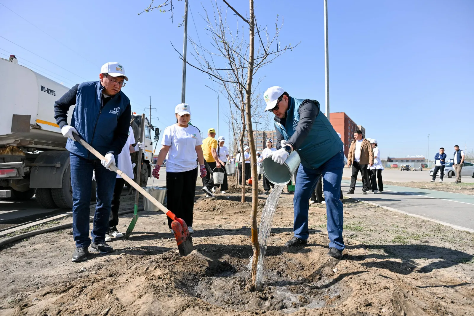 «Таза Қазақстан»: Семейде ауқымды ағаш отырғызу акциясы өтті