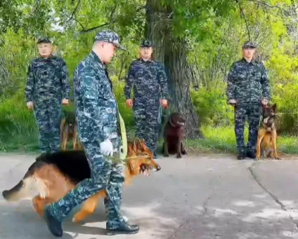 Абай облысында аңызға айналған қызметтік ит Джонды зейнетке шығарып салды